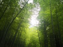 -藏龙百瀑漂流