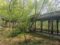 -上海佘山国家森林公园天马山园