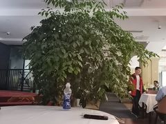 -小贝壳酒楼(经九路店)