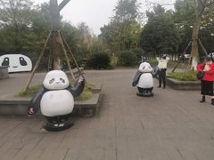 -都江堰中华大熊猫苑