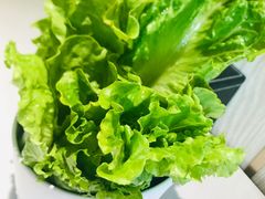 -古乐牛香·鲜牛肉牛杂火锅(新区店)