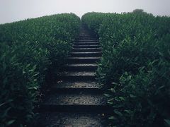 -帐篷客·溪龙茶谷度假酒店