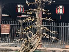 -成都武侯祠博物馆