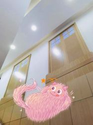 -睿宝儿科·眼科·口腔(杨浦新江湾城店)