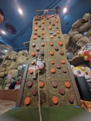 -卡通尼·Safari非洲探索乐园·生日会(金桥国际商业广场店)