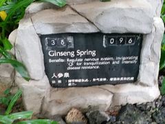 -海口观澜湖火山温泉谷