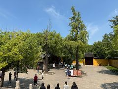 -西园寺素食(西园弄戒幢律寺店)