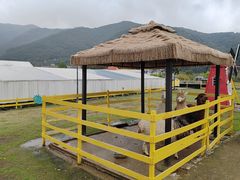 -宁波九龙湖开元度假村