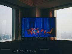 -上海明天广场JW万豪酒店