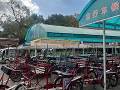 -上海海湾国家森林公园