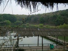 -东湖小天池真人CS彩弹野战基地