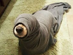 -二红烧烤排骨串(麦岛店)