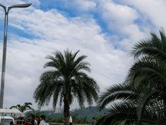 -张坝桂圆林公园