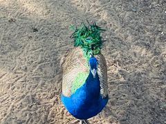 -沈阳鸟岛