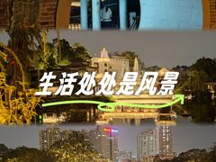 -荔湾湖公园