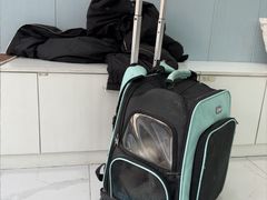 -纳吉亚猫专科动物诊疗中心(蒋宅口分院)