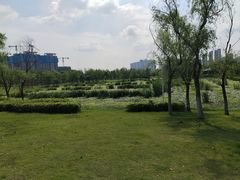 -洋湖国家湿地公园