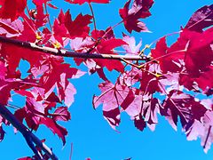 -长春公园(普阳街道)