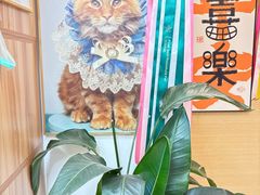 -猫十亿·布偶金渐层·曼基康矮脚猫舍(青年路店)