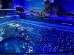 -上海海昌海洋公园-冰山北极馆