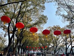 -武汉动物园