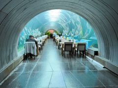 -涛·海底餐厅·美人鱼·自助餐·海底隧道(三亚海棠湾洲际度假酒店)