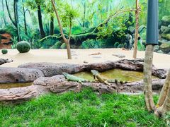 -北京野生动物园