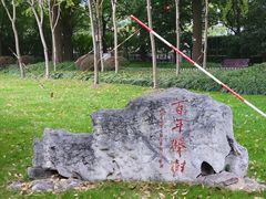 -陆家嘴中心绿地
