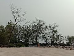 -宝安西湾红树林湿地公园