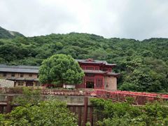 -木兰云雾山