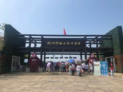 -杭州湾海上花田景区