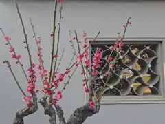 -无锡梅园公园