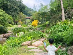 -云溪植物园