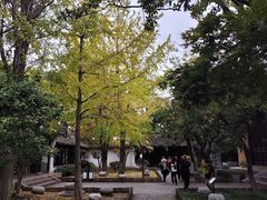 -常熟方塔园