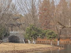 -梁鸿国家湿地公园