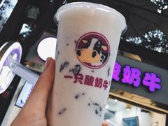 -一只酸奶牛(八一路店)
