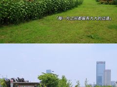 -映月湖中央公园