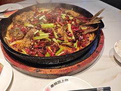-老板恋上鱼(高新万达店)