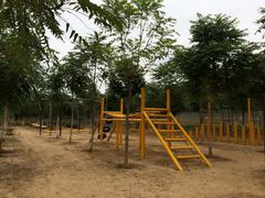 iphone_upload_pic-草根堂农场