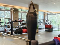 -章鱼健身 Octopus