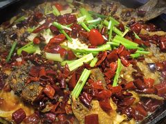 -老板恋上鱼(恒隆广场店)