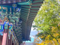 -护国法轮寺