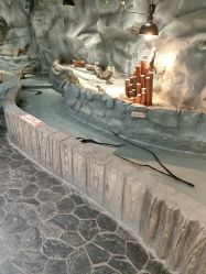 -Zoolung Zoolung动物主题公园(海信广场店)