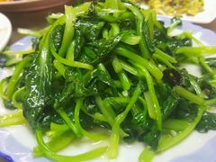 -泸沽肴(泸沽湖大洛水村农村信用社旁店)