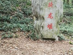 -上海佘山国家森林公园天马山园