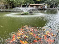 -星湖旅游景区七星岩
