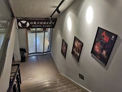 -白兔子密室(长寿路店)