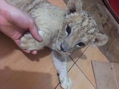 -合肥市图书馆