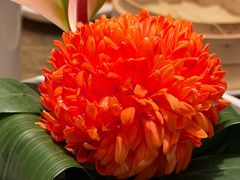 -上海总会SHANGHAICLUB(兴业太古汇店)