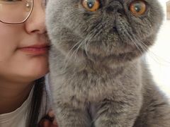 -滚猫咖啡·猫咖·猫友好撸猫(未来城店)